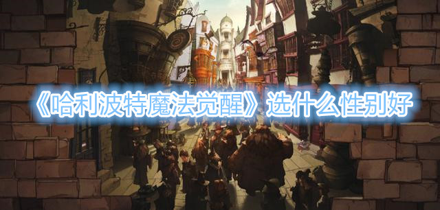 《哈利波特魔法觉醒》选什么性别好