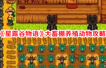 《星露谷物语》大畜棚养殖动物攻略